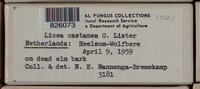 Image Associated With the Occurence